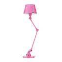 AICLER AID373 Rose