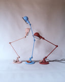 Natacha Birds x Jieldé