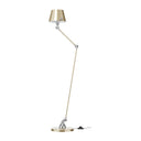 AICLER AID833 Beige Nacre