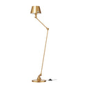 AICLER AID833 Gold Mother of Pearl
