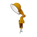 SIGNAL SI302 Beige Brun