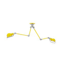 SIGNAL SKY3773 Mustard